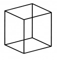 Cubo de Necker.jpg