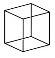 Cubo de Necker 2.jpg