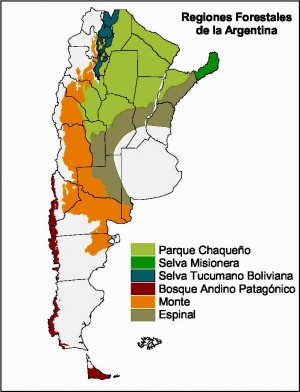 sistema notificación embarazada Regiones forestales de Argentina - ECyT-ar