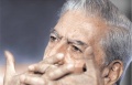 Vargas Llosa Mario 2013.jpg